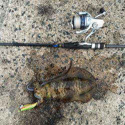 エギングのちウキ釣り